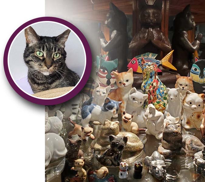 Home  Redner's Rescued Cat Figurine Mewseum